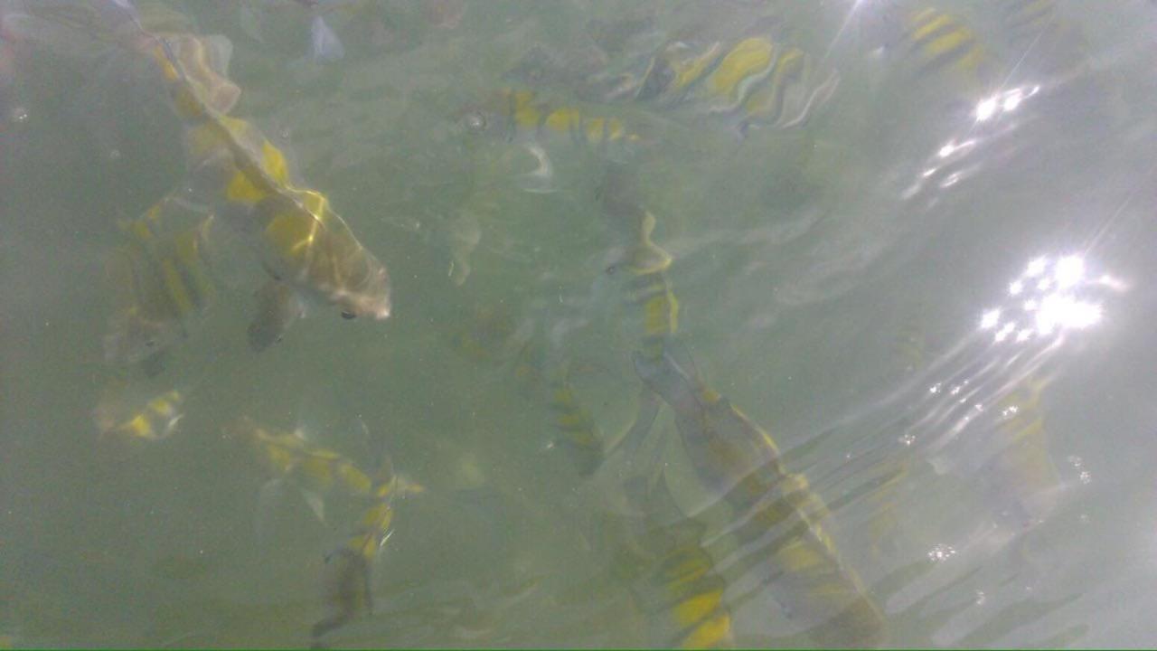 Chale Cantinho Albamar Ubatuba Exteriör bild
